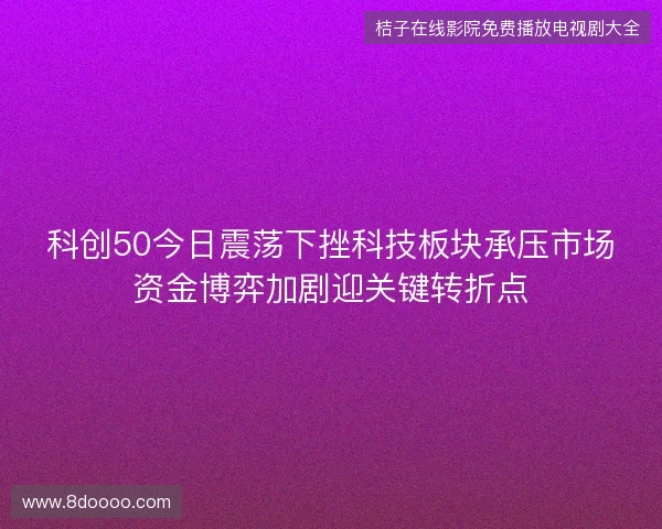 科创50今日震荡下挫科技板块承压市场资金博弈加剧迎关键转折点